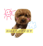 もきゅんのあいさつ（個別スタンプ：1）