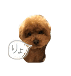 もきゅんのあいさつ（個別スタンプ：3）