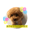 もきゅんのあいさつ（個別スタンプ：5）