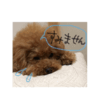 もきゅんのあいさつ（個別スタンプ：7）