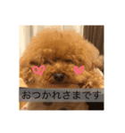 もきゅんのあいさつ（個別スタンプ：8）