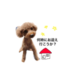 愛犬りく君（個別スタンプ：3）