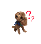 愛犬りく君（個別スタンプ：5）