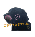 黒ラブ はなちゃん2（個別スタンプ：31）