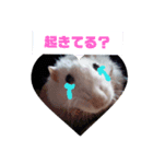 ファンシーラット3（個別スタンプ：1）