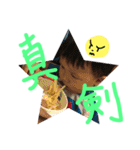 心温のココロ ＃1（個別スタンプ：14）