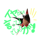 心温のココロ ＃1（個別スタンプ：35）
