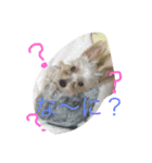 ももとなつき（個別スタンプ：4）