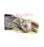 ももとなつき（個別スタンプ：7）
