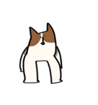 勢いのあるコーギー（個別スタンプ：2）