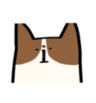 勢いのあるコーギー（個別スタンプ：7）