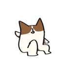 勢いのあるコーギー（個別スタンプ：9）