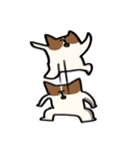 勢いのあるコーギー（個別スタンプ：14）