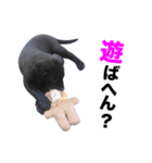 黒ラブ・シンちゃん♪（関西弁ver）（個別スタンプ：26）