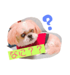 えっくんすたんぷ（個別スタンプ：2）