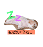 えっくんすたんぷ（個別スタンプ：3）