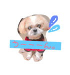 えっくんすたんぷ（個別スタンプ：5）
