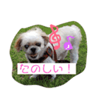 えっくんすたんぷ（個別スタンプ：6）