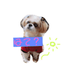 えっくんすたんぷ（個別スタンプ：8）
