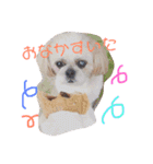 えっくんすたんぷ（個別スタンプ：12）