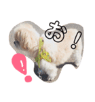 えっくんすたんぷ（個別スタンプ：16）