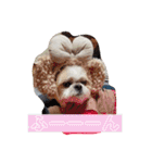 えっくんすたんぷ（個別スタンプ：17）