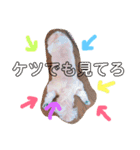 えっくんすたんぷ（個別スタンプ：20）