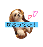 えっくんすたんぷ（個別スタンプ：21）