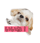えっくんすたんぷ（個別スタンプ：22）