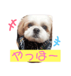 えっくんすたんぷ（個別スタンプ：23）