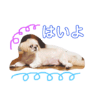 えっくんすたんぷ（個別スタンプ：24）