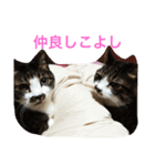 チッチとポッポ（個別スタンプ：4）