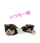 チッチとポッポ（個別スタンプ：8）