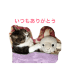 チッチとポッポ（個別スタンプ：16）