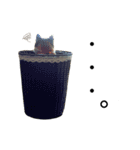 うちんちの猫。（個別スタンプ：4）