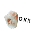 うちんちの猫。（個別スタンプ：15）