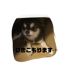 わく わく スタンプ（個別スタンプ：6）