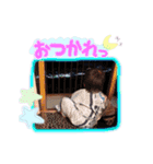 日常的スタンプ（個別スタンプ：16）
