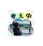 日常的スタンプ（個別スタンプ：19）