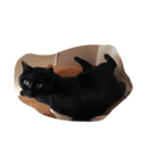 イケ猫クウチの可愛いスタンプ（個別スタンプ：2）