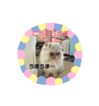 ココとオレオ2（個別スタンプ：2）