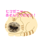 ココとオレオ2（個別スタンプ：15）
