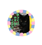 ココとオレオ2（個別スタンプ：20）