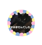 ココとオレオ2（個別スタンプ：22）