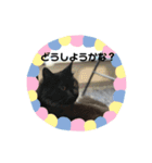 ココとオレオ2（個別スタンプ：31）