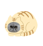 ココとオレオ2（個別スタンプ：33）