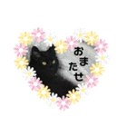 ココとオレオ2（個別スタンプ：34）