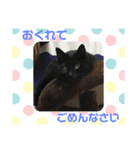 ココとオレオ2（個別スタンプ：37）