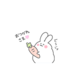我が家のうさぎのふうちゃん（個別スタンプ：12）