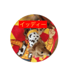 ミニチュアダックスフントいちご（個別スタンプ：8）